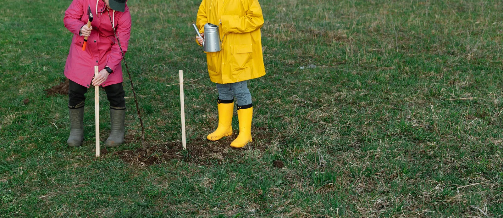 Samen werken op het land