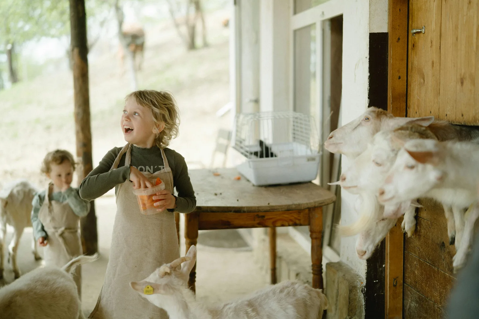 Kinderen bij de dieren op de boerderij