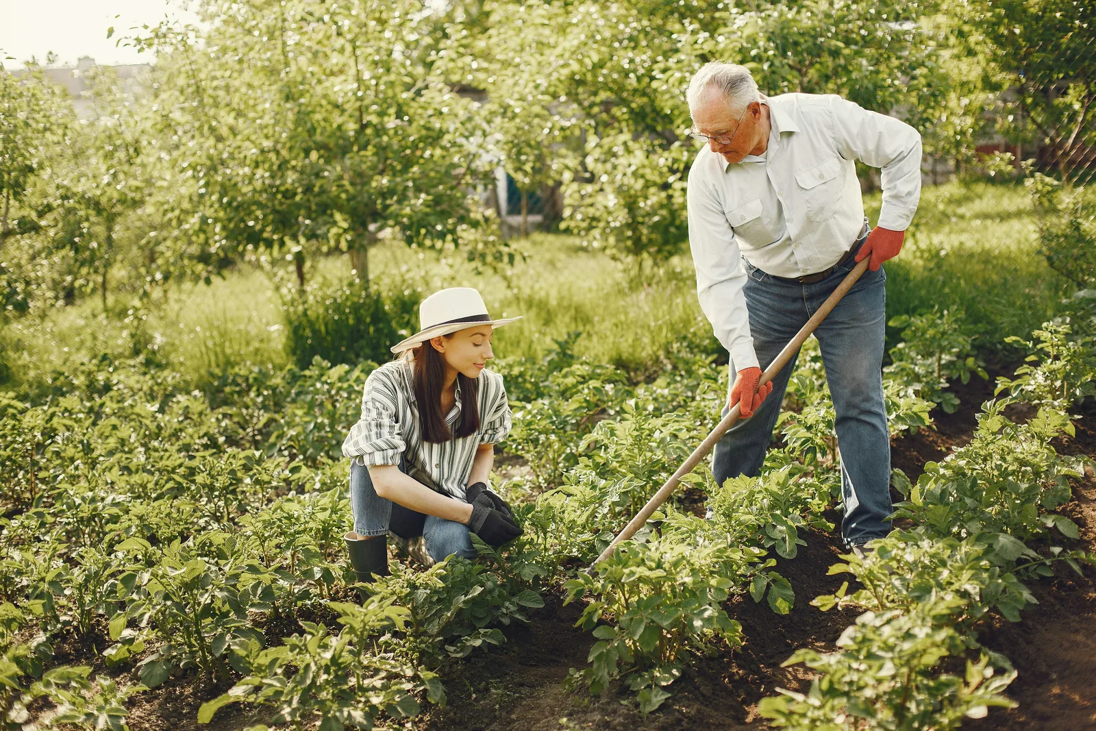 Ouderen samen aan het werk in de tuin