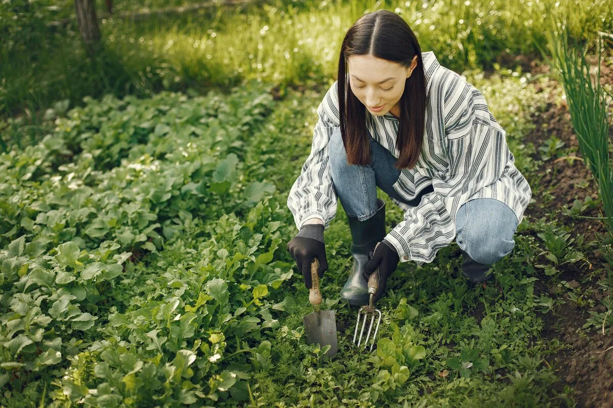Vrouw werkt met een handhark tussen de groenblijvende beplanting van een voedselbos